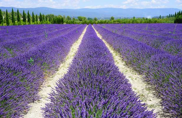 activités aux alentours