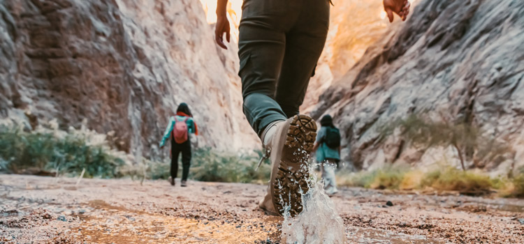 Le Trail de Forcalquier