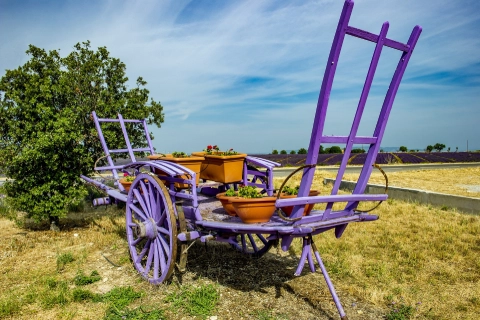 valensole village luberon